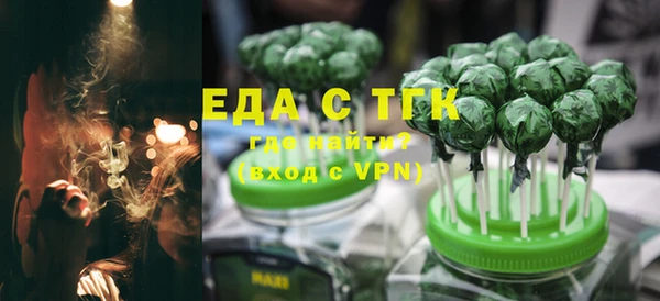 индика Мегион