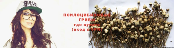 стафф Медногорск