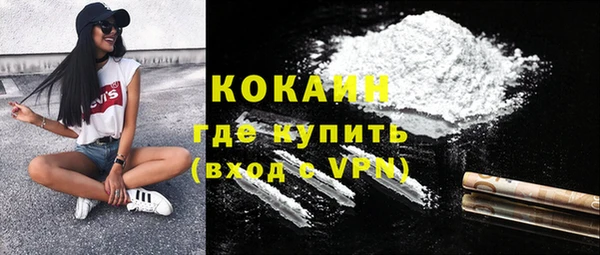 индика Мегион