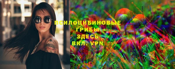 индика Мегион