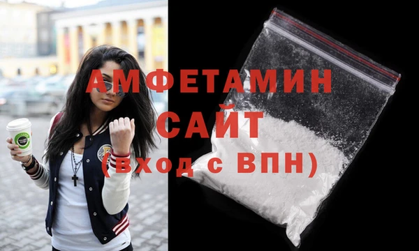 индика Мегион