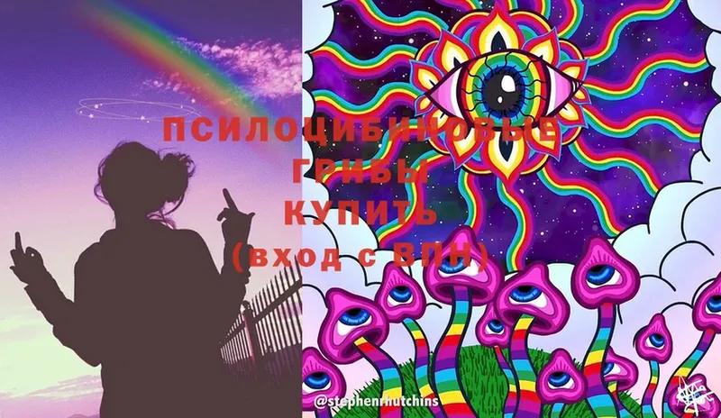 Псилоцибиновые грибы мицелий  купить   Тверь 