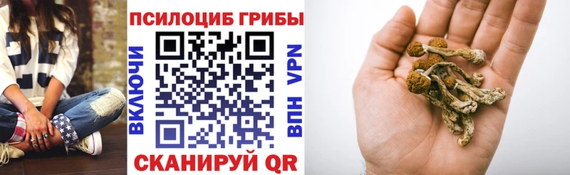 Галлюциногенные грибы Cubensis  цены наркотик  Тверь 